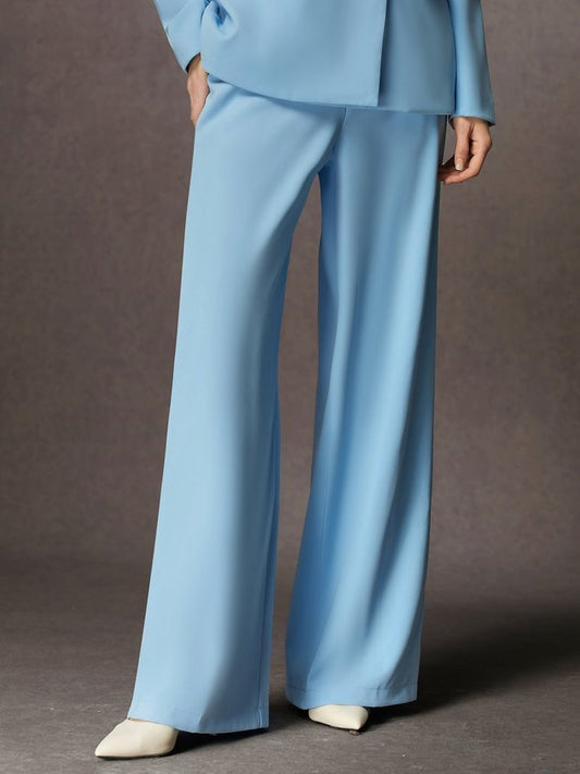 Urban Plain Regular Fit Fashion Wide Leg Pants